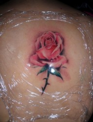背部纹身：一支玫瑰纹身图案