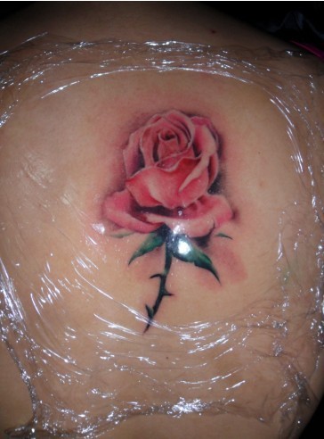 点击大图看下一张：背部纹身：一支玫瑰纹身图案
