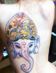 女士美女背部彩色个性大象纹身图案