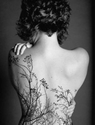 女性背部树木刺青