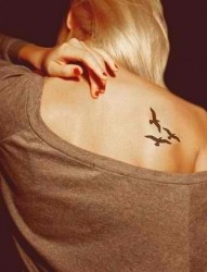 女性后背海鸥刺青