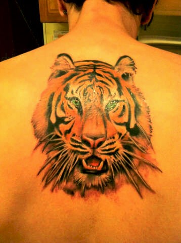 点击大图看下一张：背部帅气的老虎头纹身