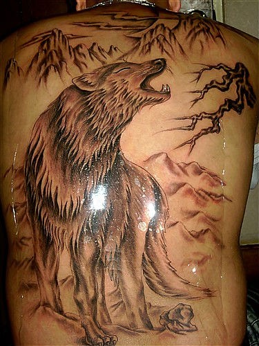 点击大图看下一张：满背狼纹身作品
