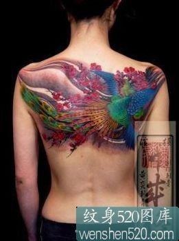 点击大图看下一张：女性后背日本凤凰纹身作品