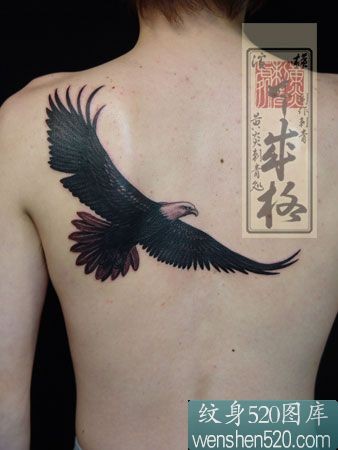 点击大图看下一张：后背黑色老鹰纹身图案