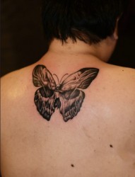 男人后背蝴蝶纹身图案