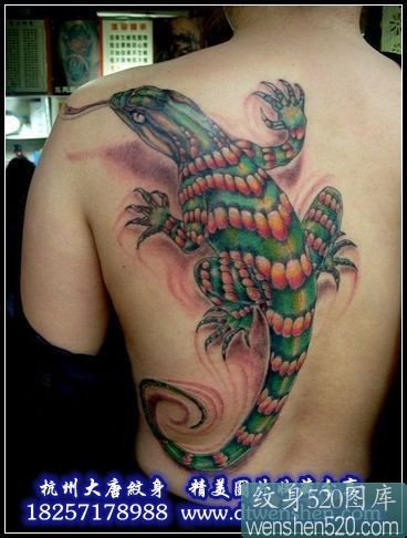 点击大图看下一张：后背上色彩斑斓的大蜥蜴纹身作品