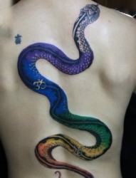 蛇纹身图片：背部彩色蛇纹身
