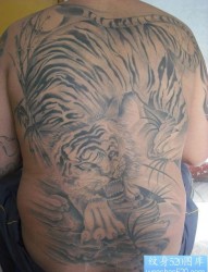 老虎纹身图片：背部老虎纹身图片纹身作品
