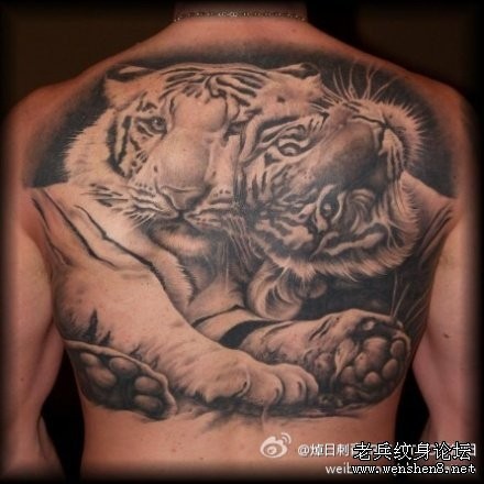 点击大图看下一张：老虎纹身图片：背部老虎纹身图片纹身作品