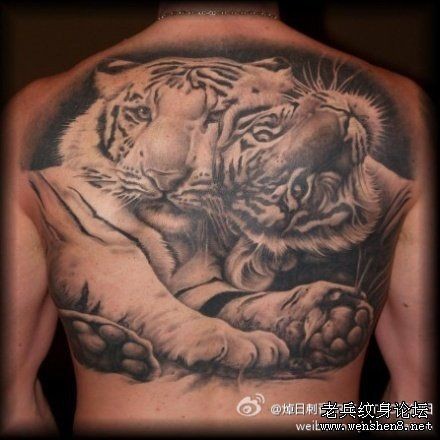 点击大图看下一张：背部老虎纹身图片