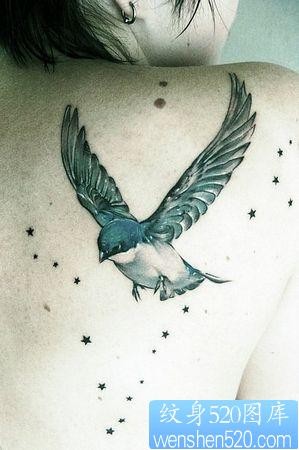 点击大图看下一张：美女背部小燕子五角星纹身图片