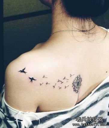 点击大图看下一张：女人肩背小清新蒲公英与小燕子纹身图片