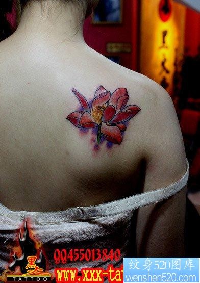 点击大图看下一张：一幅女孩子背部漂亮的彩色莲花纹身图片