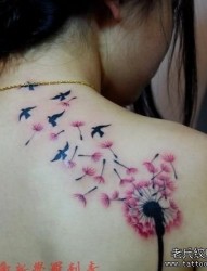 女孩子肩背一幅蒲公英与鸽子纹身图片