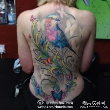 点击大图看下一张：女人背部好看漂亮的小鸟纹身图片