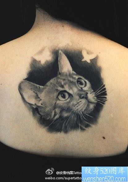 点击大图看下一张：女人后背潮流经典的写实猫咪纹身图片