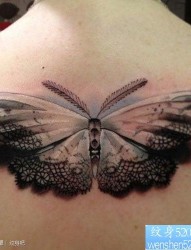 后背漂亮精美的蕾丝边蝴蝶纹身图片