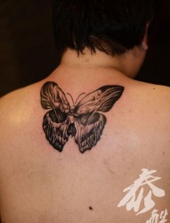 一幅男生背部骷髅蝴蝶纹身图片