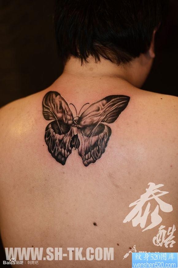 点击大图看下一张：一幅男生背部骷髅蝴蝶纹身图片