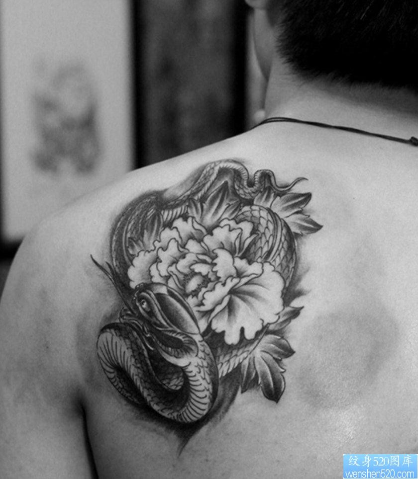 点击大图看下一张:纹身520图库推荐一幅蛇牡丹花纹身图片