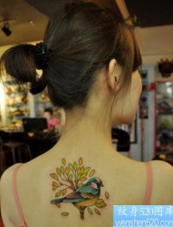 一幅女人背部花鸟文身图片由纹身520图库推荐