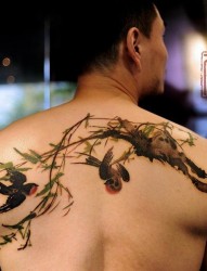 背部一幅春柳双燕纹身作品