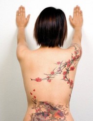 女人背部诱人的桃花双鱼纹身作品