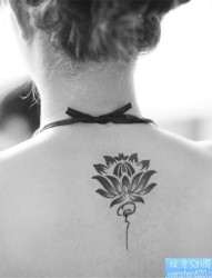 一幅女人背部莲花纹身图案