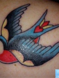 一款背部彩色燕子纹身图案