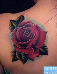 背部滴水玫瑰纹身图案