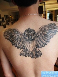 背部猫头鹰武士纹身图案