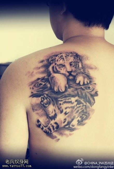 点击大图看下一张：男人背部小老虎纹身图案
