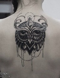 女性背部猫头鹰纹身图案