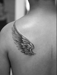一款背部翅膀纹身图片