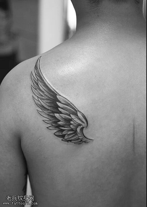 点击大图看下一张：一款背部翅膀纹身图片
