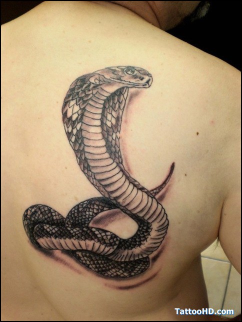 点击大图看下一张：背部超级有个性的蛇纹身图2