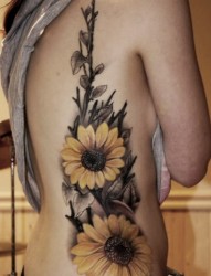 女人腰部漂亮的向日葵纹身