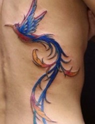 腰部纹身图片：腰部彩色小鸟纹身图案