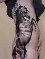 展示一幅侧腰上骏马纹身图片