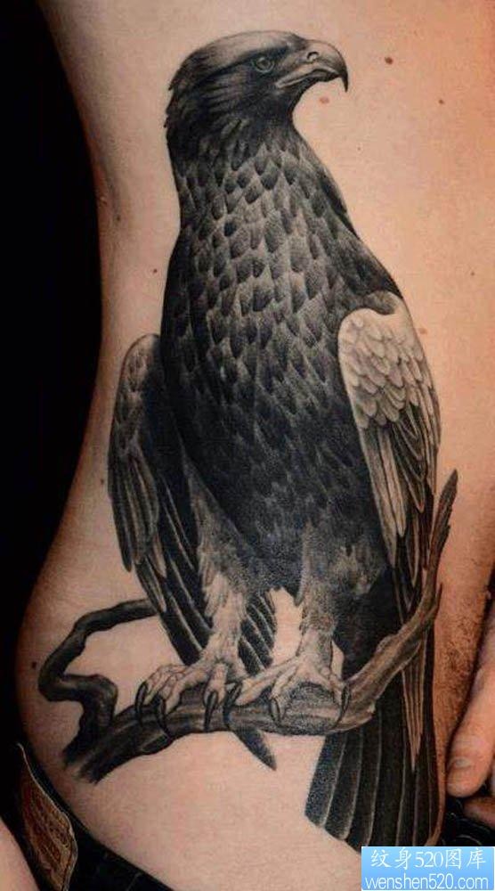 点击大图看下一张：侧腰上的一幅老鹰纹身图片