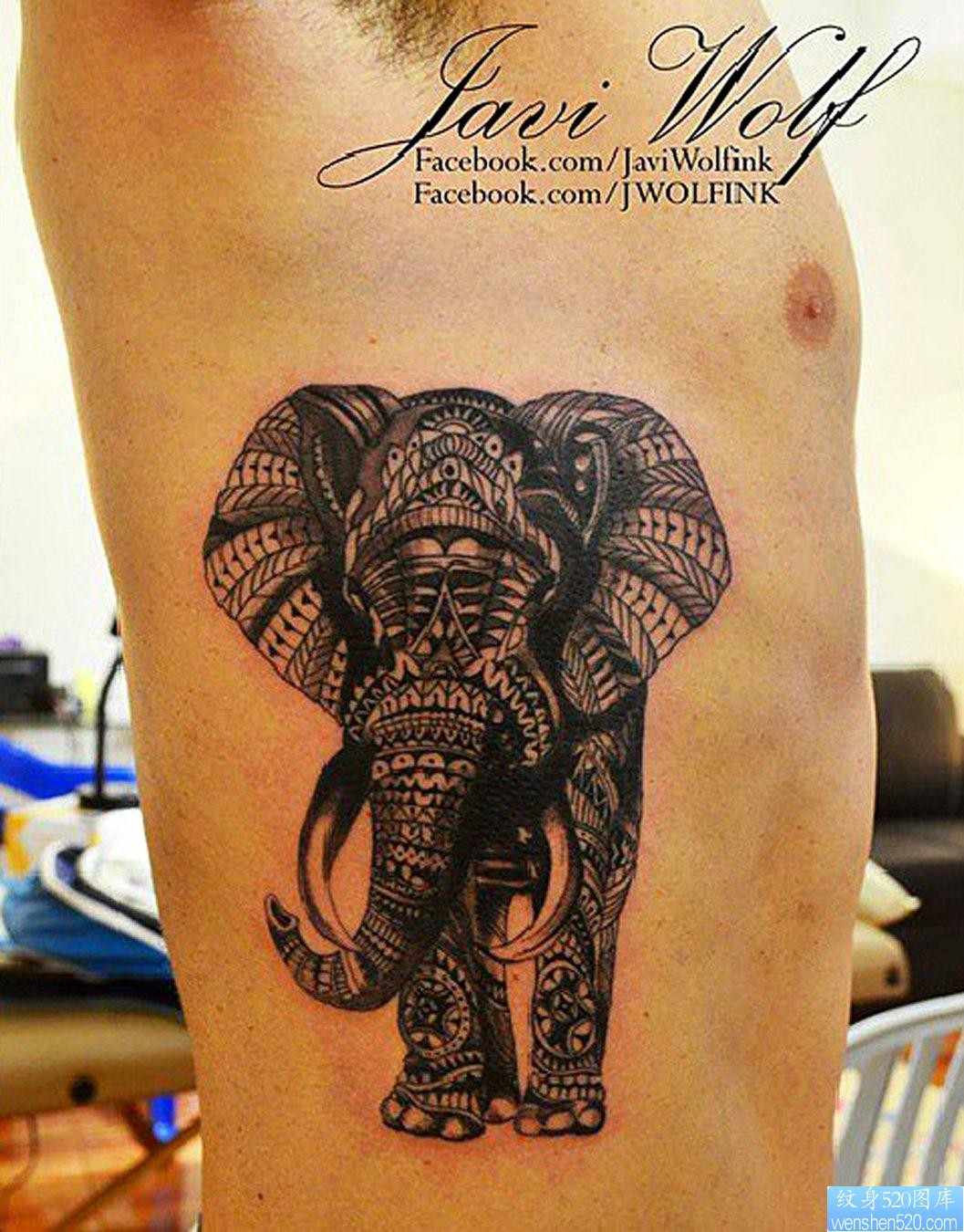 点击大图看下一张：侧腰上一幅精致的大象纹身图片