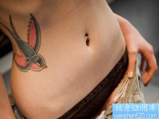 点击大图看下一张：女人彩色腰部燕子纹身图片由纹身520图库推荐