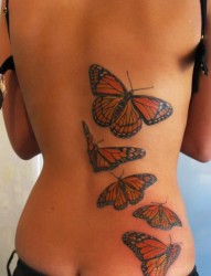美女腰部的花蝶纹身图案