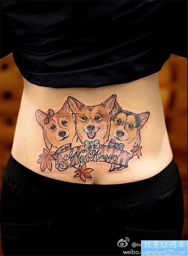 点击大图看下一张：女性腰部狗狗纹身图案