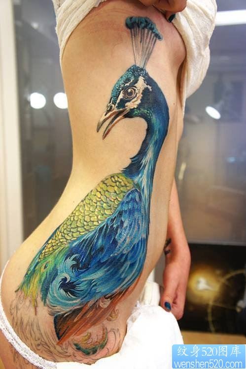 点击大图看下一张：一款女性腰部孔雀纹身图案