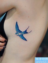 女性腰部蓝色飞燕纹身图案