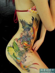 一款女性侧腰彩色凤凰纹身图案