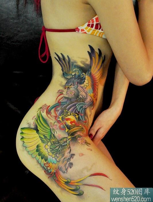 点击大图看下一张：一款女性侧腰彩色凤凰纹身图案