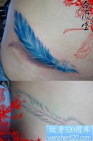 点击大图看下一张:腹部纹身图片:美女腹部彩色羽毛纹身图片纹身作品